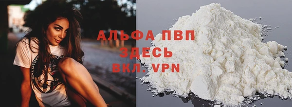 сатива Заводоуковск