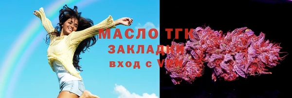 сатива Заводоуковск