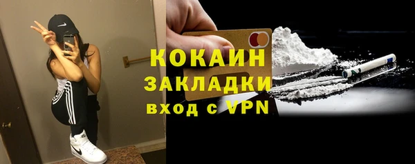 сатива Заводоуковск
