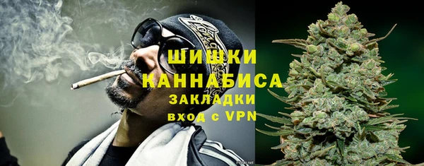 сатива Заводоуковск