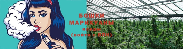 сатива Заводоуковск