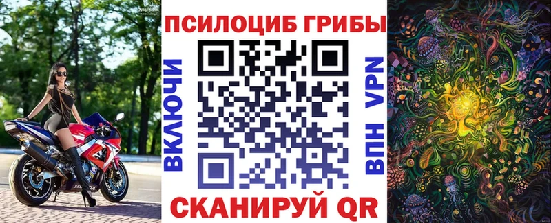 Псилоцибиновые грибы Cubensis Цимлянск